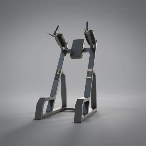 DHZ Fitness | Benches, Evost 2, Evost II, A3047, Belly, EVOST II - Vertical Knees Up-Dip-