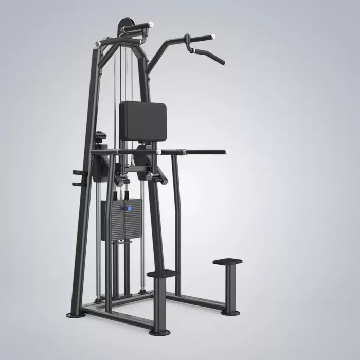 DHZ Fitness | Strength equipment, Evost 3, Evost III, U2009, chest, back, DUAL, EVOST III - Dip-Chin Assist