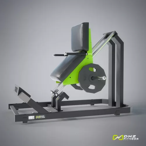 DHZ Fitness | Plate Loaded, Y900, Y945, Legs, Plate loaded - CALF-